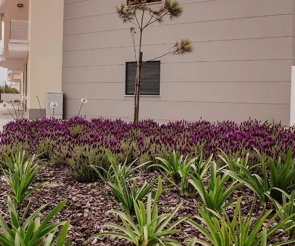 아파트 Gold Baleal *